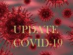 ilustrasi_update_covid-19_virus_corona_1.jpg