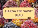 info-harga-sawit-tbs-sawit-riau.jpg