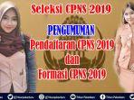 jadwal-seleksi-cpns-2019-kabupaten-dan-kota-di-riau-bkp2d-pelalawan-umumkan-penerimaan-cpns-2019.jpg