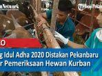 jelang-idul-adha-2020-distakan-pekanbaru-gelar-pemeriksaan-hewan-kurban.jpg