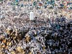 jemaah-haji-wukuf-di-arafah_20150924_092816.jpg