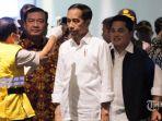jokowi-pantau-sterilisasi-virus-corona.jpg