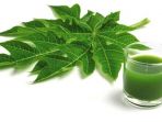 jus-daun-pepaya_20180118_072943.jpg