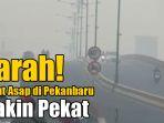 kabut-asap-di-pekanbaru-semakin-pekat.jpg