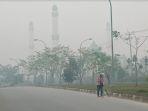 kabut-asap-karhjutla-di-pelalawan.jpg