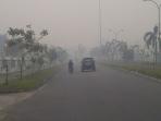 kabut-asap-pelalawan-karhutla-kebakaran-hutan-lahan-02092015_20150902_101307.jpg
