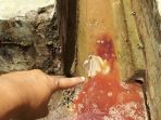 kain-yang-bercampur-darah-sudah-mengering_20170926_154226.jpg