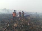 karhutla-lubuk-gaung-dumai.jpg