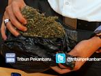 kasat-narkoba-polresta-pekanbaru-amankan-ganja-2_20150518_193604.jpg