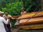 kayu-ilegal-kecamatan-sungai-sembilan.jpg
