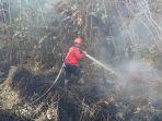 kebakaran-hutan-dan-lahan-karhutla-di-dumai-terdeteksi-jumat-pagi.jpg