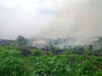 kebakaran-lahan-di-jalan-duyung-pekanbaru.jpg