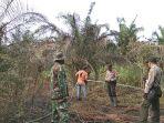 kebakaran-lahan-di-teluk-meranti-pelalawan-merupakan-lahan-pt-sss.jpg