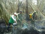 kebakaran-lahan-gambut-di-kabupaten-kepulauan-meranti_20160320_195949.jpg