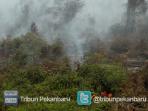 kebakaran-lahan-semakin-meluas-kabut-asap-3_20150906_214355.jpg
