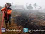 kebakaran-lahan-semakin-meluas-kabut-asap-4_20150906_214413.jpg
