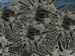 klaster-baru-penyebaran-covid-19-di-riau-narapidana-dan-sipir-terjangkit-virus-corona-dari-siapa.jpg