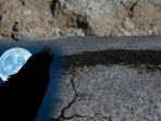 kolase-anjing-gempa_20181011_095547.jpg