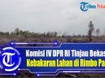 komisi-iv-dpr-ri-tinjau-bekas-kebakaran-lahan-di-rimbo-panjang.jpg