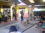 koni-riau-tinjau-tempat-latihan-pabbsi_20160814_153006.jpg