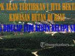 kpk-akan-tertibkan-1-juta-hektar-kawasan-hutan-di-riau-yang-disulap-jadi-perkebunan-kelapa-sawit.jpg