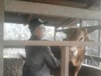 kurban-berat-kampar_20170901_155409.jpg