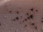 laba-laba-raksasa-di-permukaan-mars.jpg