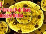 lagi-pdp-covid-19-di-riau-meninggal-dunia-1-pdp-di-inhil-dan-dan-1-pdp-di-bengkalis-total-9-orang.jpg