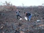 lahan-di-dumai-usai-terbakar.jpg
