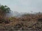 lahan_mekar_sari_terbakar-dumai_20160304_171004.jpg