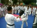 latihan-taekwondo.jpg