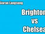 live-streaming-brighton-vs-chelsea-siaran-langsung-liga-inggris.jpg