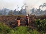 lokasi-kebakaran-saat-dipadamkan-tim-karhutla_20160321_161857.jpg