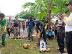 lomba-kupas-kelapa-di-inhil.jpg