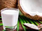 manfaat-santan-kelapa.jpg