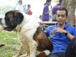 miin-pembina-pekanbaru-dogs-lover-community-pdlc_20160226_085515.jpg