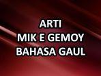 mik-e-gemoy-artinya-dalam-Bahasa-Gaul.jpg