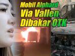 mobil-alphard-via-vallen-dibakar-orang-tak-dikenal.jpg