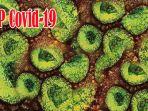 odp-covid-19-di-dumai-naik-tajam-hingga-capai-112-orang-dan-ini-data-penyebaran-virus-corona-di-riau.jpg