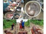 orangutan-istagram-bos-foundation_20170217_221159.jpg