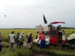 panen_20180116_191210.jpg