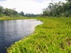 panorama-tasik-nambus-kepulauan-meranti_20160814_123429.jpg