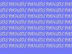 pansos-apa-itu.jpg