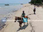 pantai_teluk_rhu-3_20160420_152909.jpg