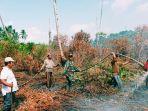 pemadaman-karhutla-di-inhil-riau.jpg