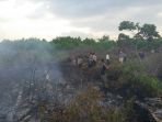 pemadaman-karhutla-pangkalan-kerinci_20170731_094918.jpg