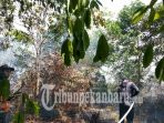 pemadaman-karhutla-terus-dilakukan_20180928_161621.jpg