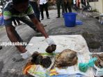 pembunuh-beruang-madu-diamankan-kantor-balai-gakkum-klhk_20180403_161855.jpg<pf>pembunuh-beruang-madu-diamankan-kantor-balai-gakkum-klhk_20180403_161927.jpg<pf>pembunuh-beruang-madu-diamankan-kantor-balai-gakkum-klhk_20180403_162002.jpg<pf>pembunuh-beruang-madu-diamankan-kantor-balai-gakkum-klhk_20180403_162020.jpg<pf>pembunuh-beruang-madu-diamankan-kantor-balai-gakkum-klhk_20180403_162051.jpg<pf>pembunuh-beruang-madu-diamankan-kantor-balai-gakkum-klhk_20180403_162121.jpg<pf>pembunuh-beruang-mad