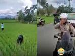 pemuda-tanpa-helm-nyamar-jadi-petani-viral.jpg