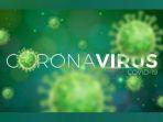 pemudik-ini-bawa-virus-corona-ke-kampung-halaman.jpg